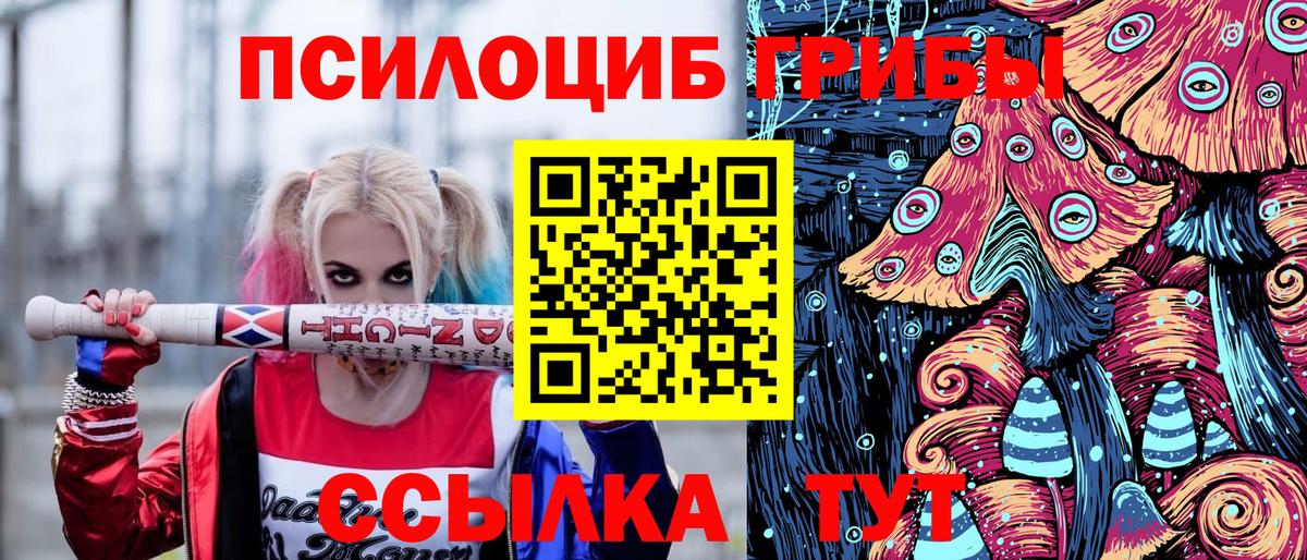 Абакан  Псилоцибиновые грибы прущие грибы  Вход с VPN  Галлюциногенные грибы прущие грибы 